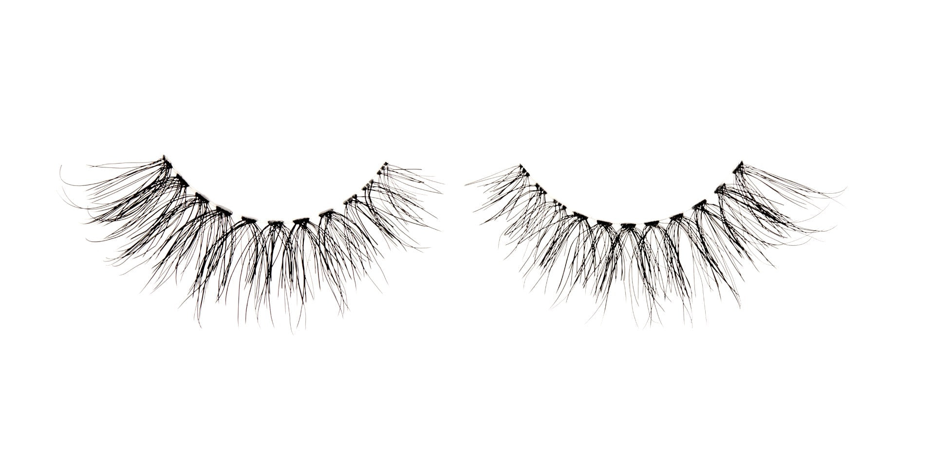 Ardell's Wispies 703 Lash with flared and fluttery lash fibers rounded shape lashes