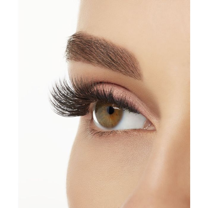 Side profile of Ardell 860 lashes applied, demonstrating dramatic length and lift.