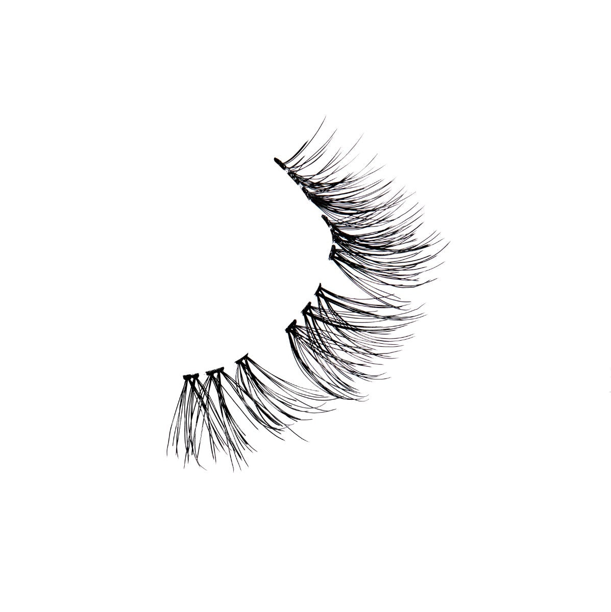 Naked My Way 421 4 Pack floating clusters arranged to show lash profile