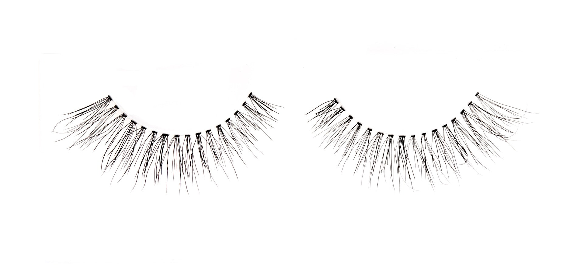 Ardell's Wispies 702 Lash with flared and fluttery lash fibers rounded shape lashes